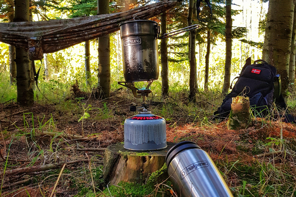 Stanleys in the Wild —Henrik’s Stanley