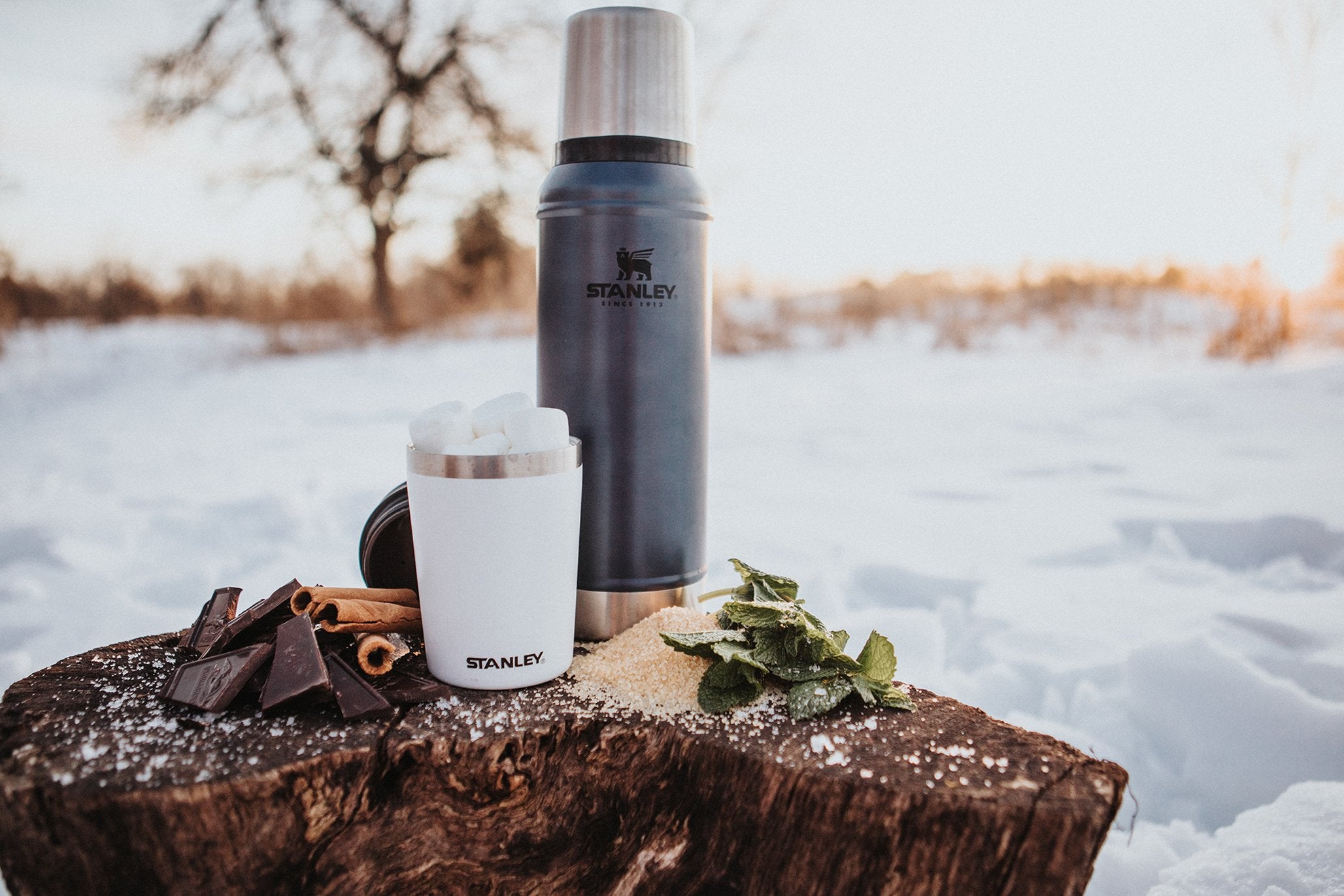 Stanley Classic Legendary Bottle and Classic Legendary Camp Mug