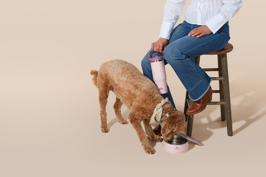 The Stanley 1913 Pet Bowl