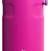 IceFlow™ Bottle Twist Flip | 0.47L - Stanley Create