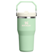 IceFlow™ Flip Straw Tumbler | 0.59L