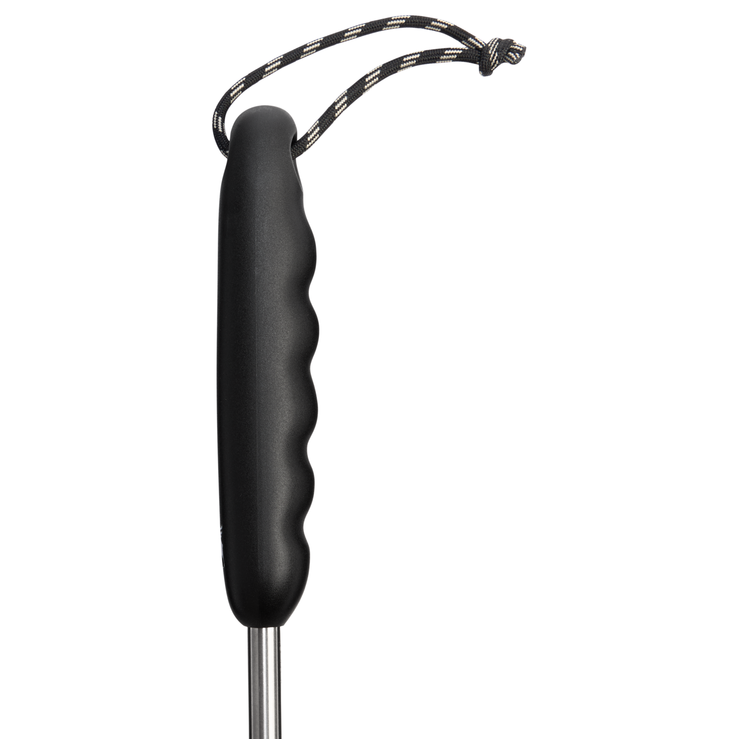 Classic Cleaning Brush