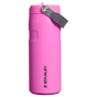 Kleurstaal voor Stanley 1913 IceFlow™ Bottle Flip Straw 2.0 0.47L in Hot Pink