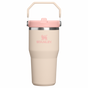 Visuel pour Stanley 1913 IceFlow™ Flip Straw 2.0 Tumbler 0.59L dans Champagne | Recto Afficher