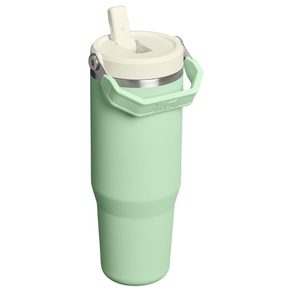 Stanley 1913 IceFlow™ Flip Straw 2.0 Tumbler in Pistachio