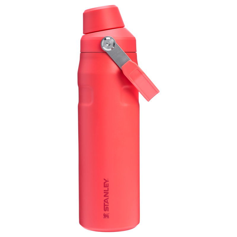 スタンレー STANLEY ICEFLOW BOTTLE 710ml IceFlow Bottle Fast Flow | 0.71L – Stanley 1913 EU