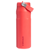 The IceFlow™ Bottle Flip Straw 2.0 | 0.7L
