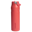 The IceFlow™ Bottle Flip Straw 2.0 | 1.06L