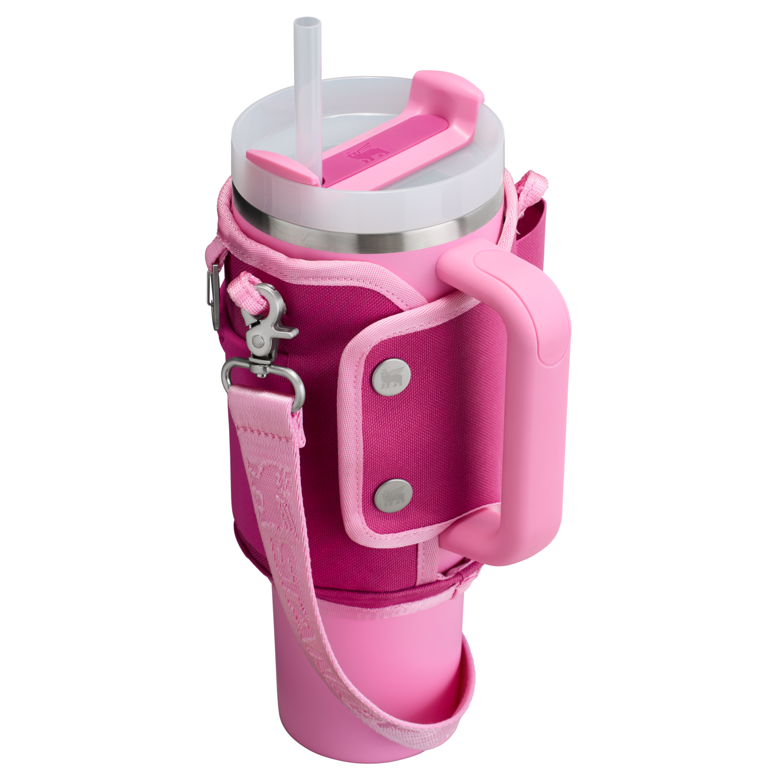 All Day 1.2L Quencher Carry-All