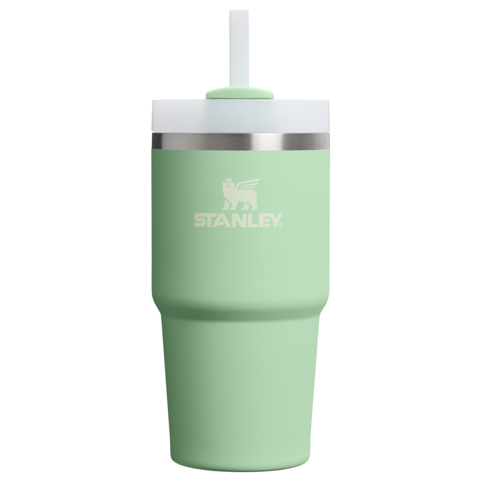 Stanley 1913 Quencher® H2.O Flowstate™ Tumbler 0.59L in Pistachio