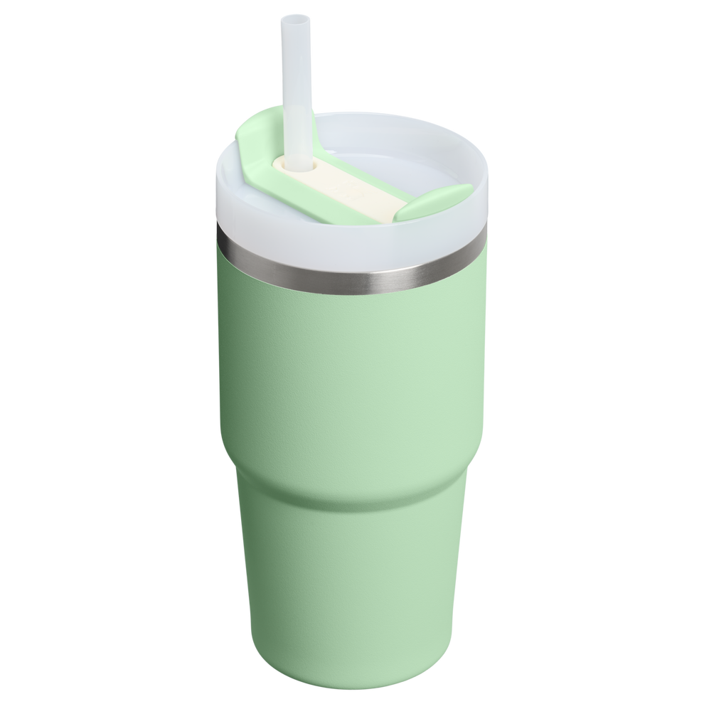 Stanley 1913 Quencher® H2.O Flowstate™ Tumbler 0.59L in Pistachio