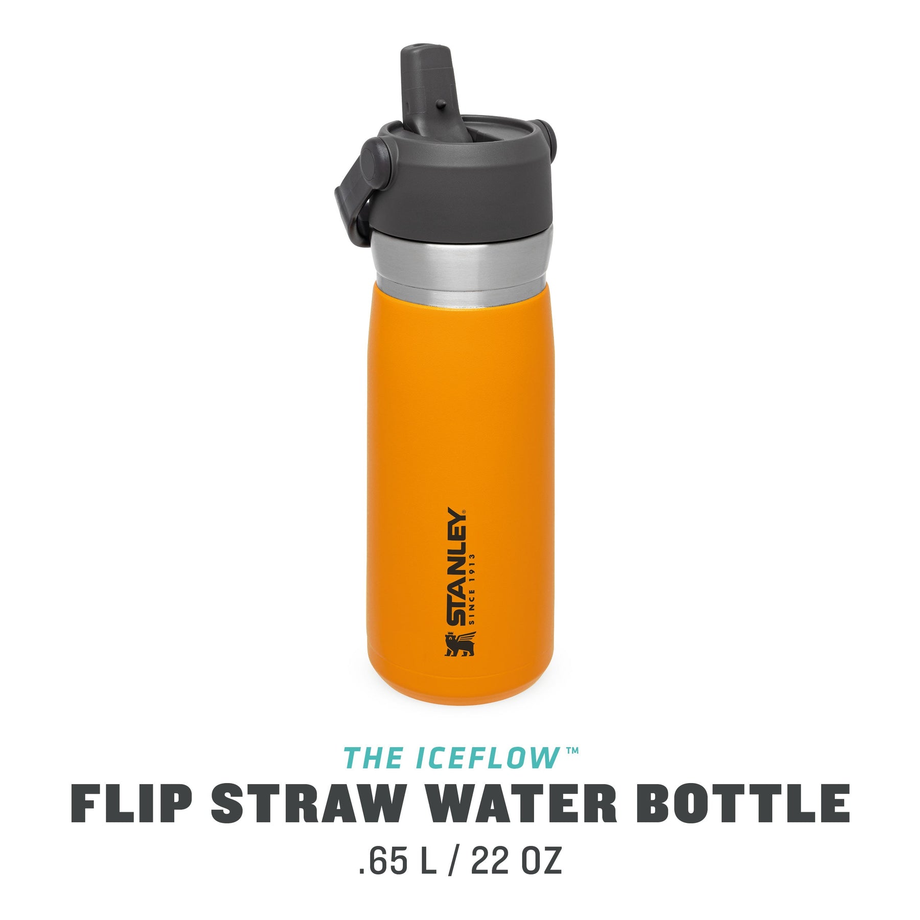 Stanley Flip Straw Insulated Stainless Steel Water Bottle, 22 oz
